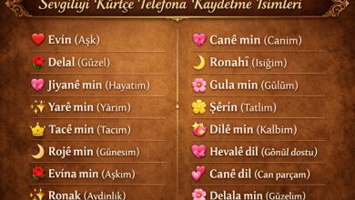 sevgiliyi kürtçe telefona kaydetme isimleri