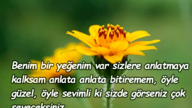 yeğen sözleri