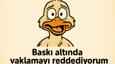 kankanın fotoğrafının altına yazılacak komik yorum