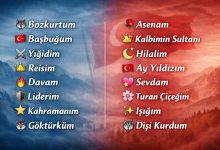 ülkücü sevgiliyi telefona kaydetme isimleri