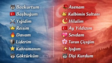 ülkücü sevgiliyi telefona kaydetme isimleri